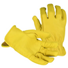 High Quality Deerskin Grain Driver, Keystone Thumb, Shirred Elastic Back, Leather Hemmed - Per Dozen
